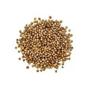 COENTRO EM GRAO 100g