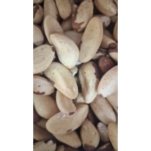 CAST DO PARA INTEIRA 100g